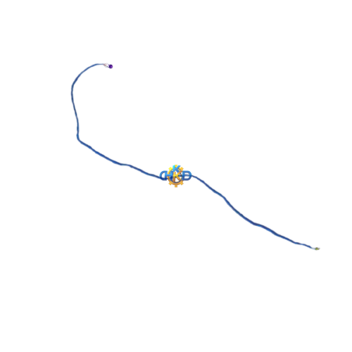 کابل بازکن درب باک تیگو 7آی ای