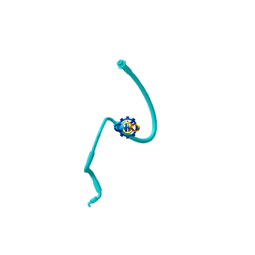 شیلنگ ترمز چرخ جلو چپ MVM X22 | لوله انعطاف‌پذیر ترمز چرخ جلو چپ ام وی ام ایکس ۲۲ | لوازم یدکی سیستم ترمز
